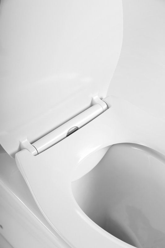 Унитаз-компакт BELBAGNO Acqua с сиденьем с микролифтом